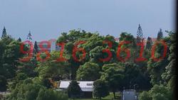 Blk 263 Yishun Street 22 (Yishun), HDB 4 Rooms #104805322